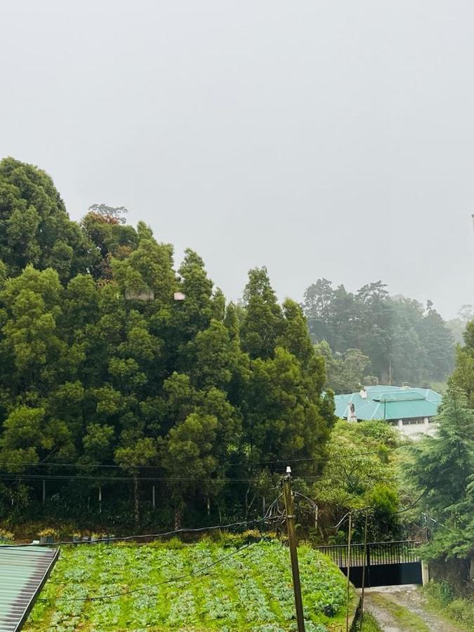 Galway Green - Lake View Luxury Apartment, Nuwara Eliya Sri Lanka Kültér fotó